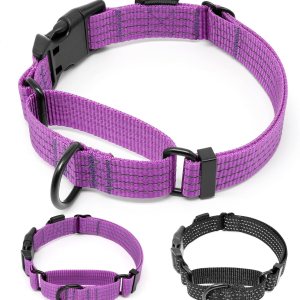 Collar Martingale para perros de entrenamiento, 1 unidad, collares reflectantes ajustables con hebilla, sin tirones, evita que se resbalen para Collar Martingale para perros de entrenamiento, 1 unidad, collares reflectantes ajustables con hebilla, sin tirones, evita que se resbalen para