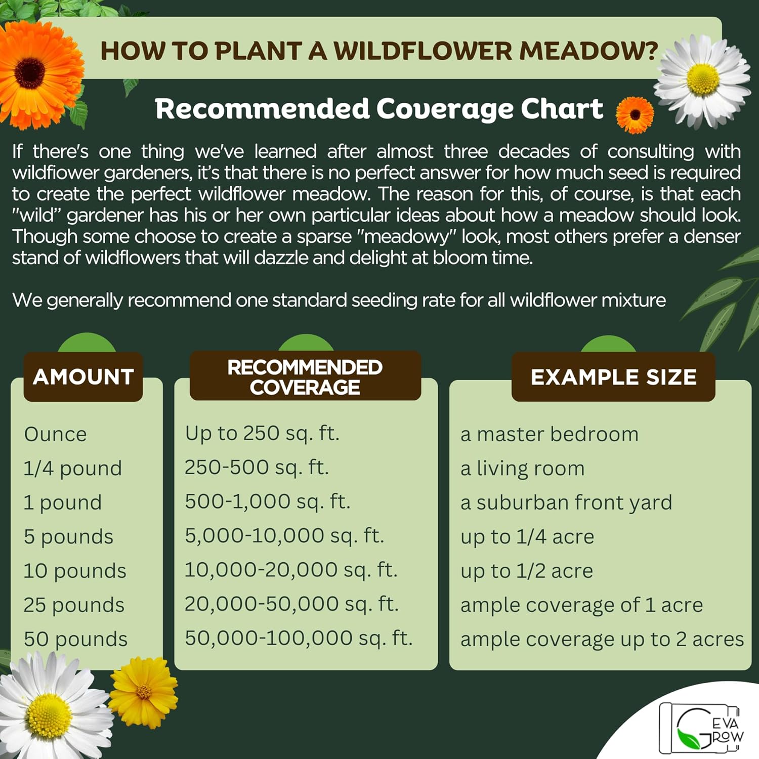 Bulk Regional Wildflower Seed Tub – Semillas de flores silvestres del noreste orgánicas, sin OMG, 100% semillas puras, 21 variedades de semillas,