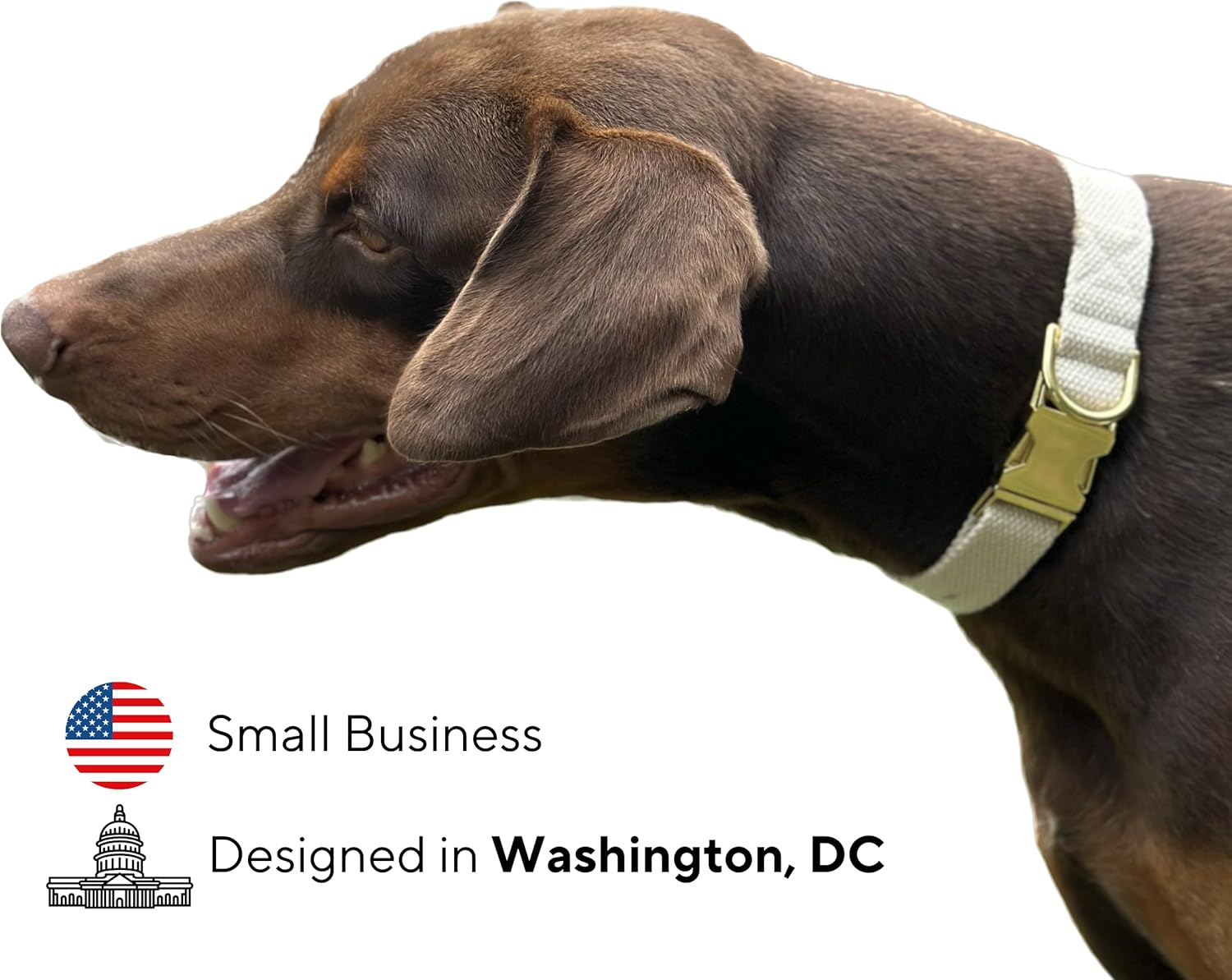 Frezco Collar de perro minimalista ultra duradero, 100% algodón natural y hebilla totalmente metálica, fuerte 300 libras, perfecto para perros