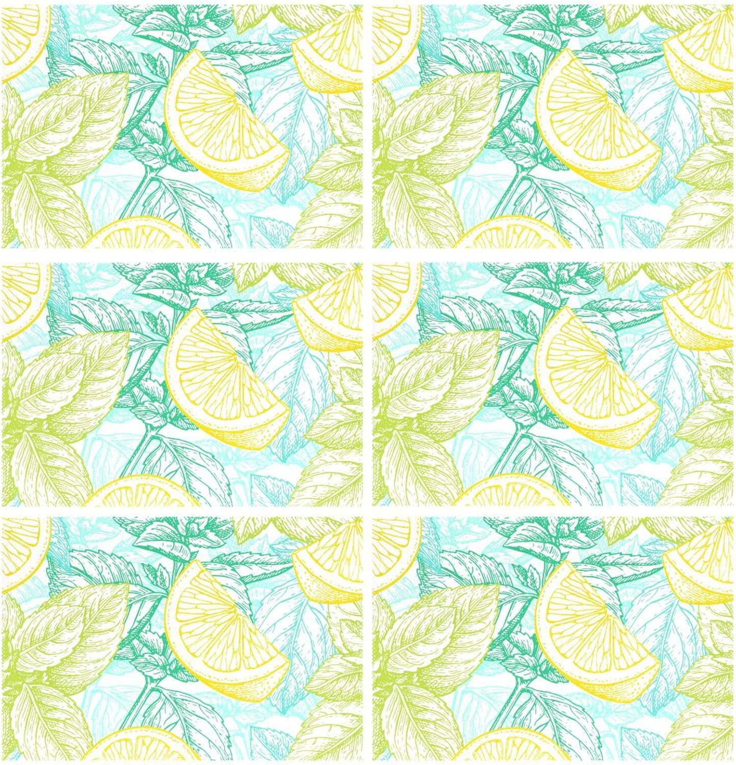 Manteles individuales de limón y menta, lavables, antideslizantes, resistentes al calor, de 12 a 18 pulgadas, manteles individuales decorativos para