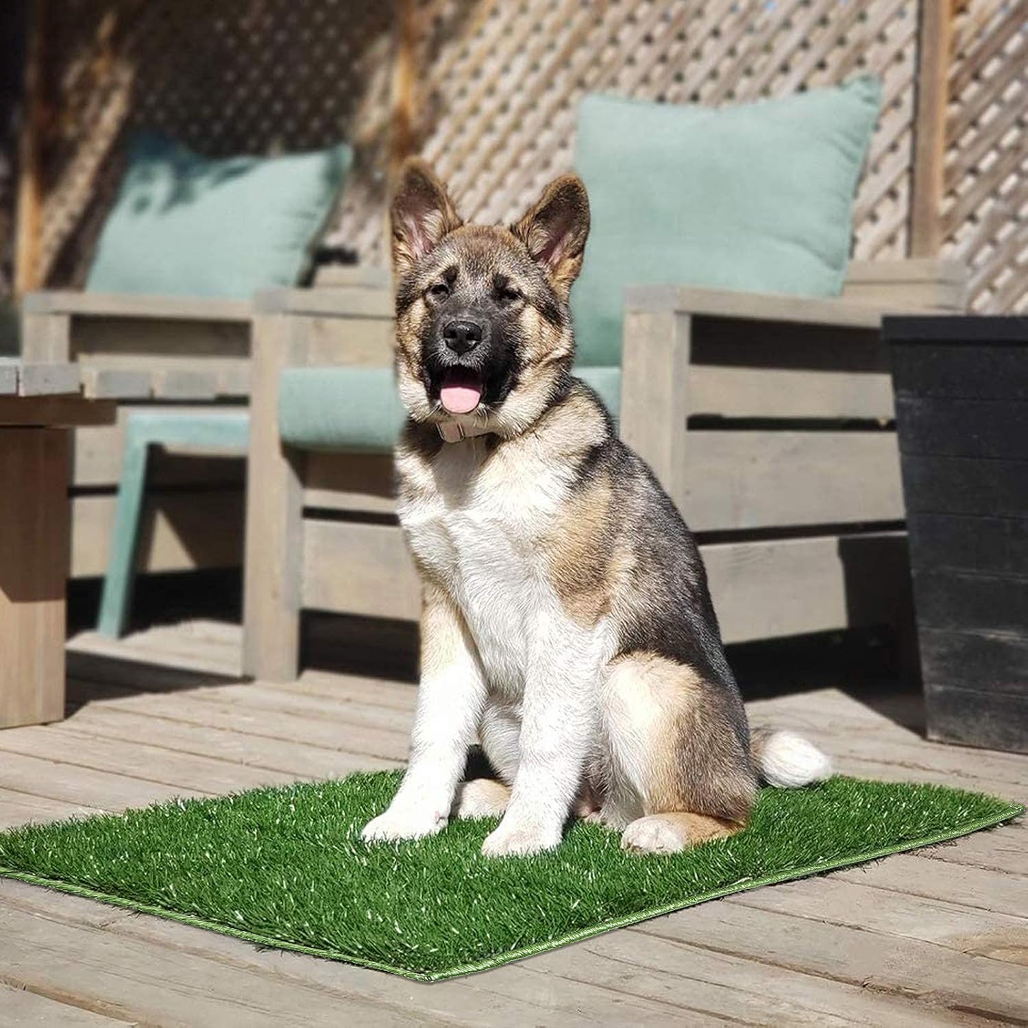 Hompet almohadillas de pasto para perro, almohadillas de entrenamiento para orinal, pasto artificial para sistemas de perros, alfombrillas de
