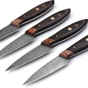 Juego de cuchillos de carne hechos a mano de acero de Damasco – Juego de 4 cuchillos para carne con mango de madera de Pakka (madera de wengué negro) Juego de cuchillos de carne hechos a mano de acero de Damasco – Juego de 4 cuchillos para carne con mango de madera de Pakka (madera de wengué negro)