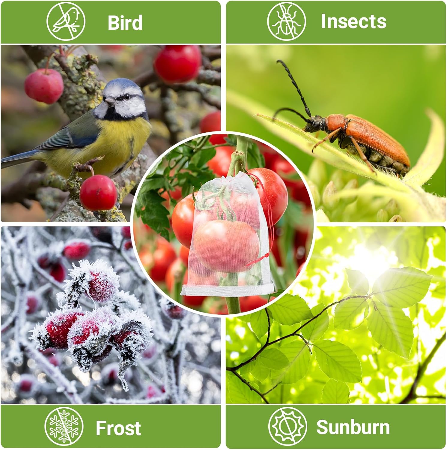 Bolsas de protección de frutas, paquete de 100 unidades de 4 x 6 pulgadas, barrera de plagas para jardín, red de insectos, pequeñas bolsas de malla