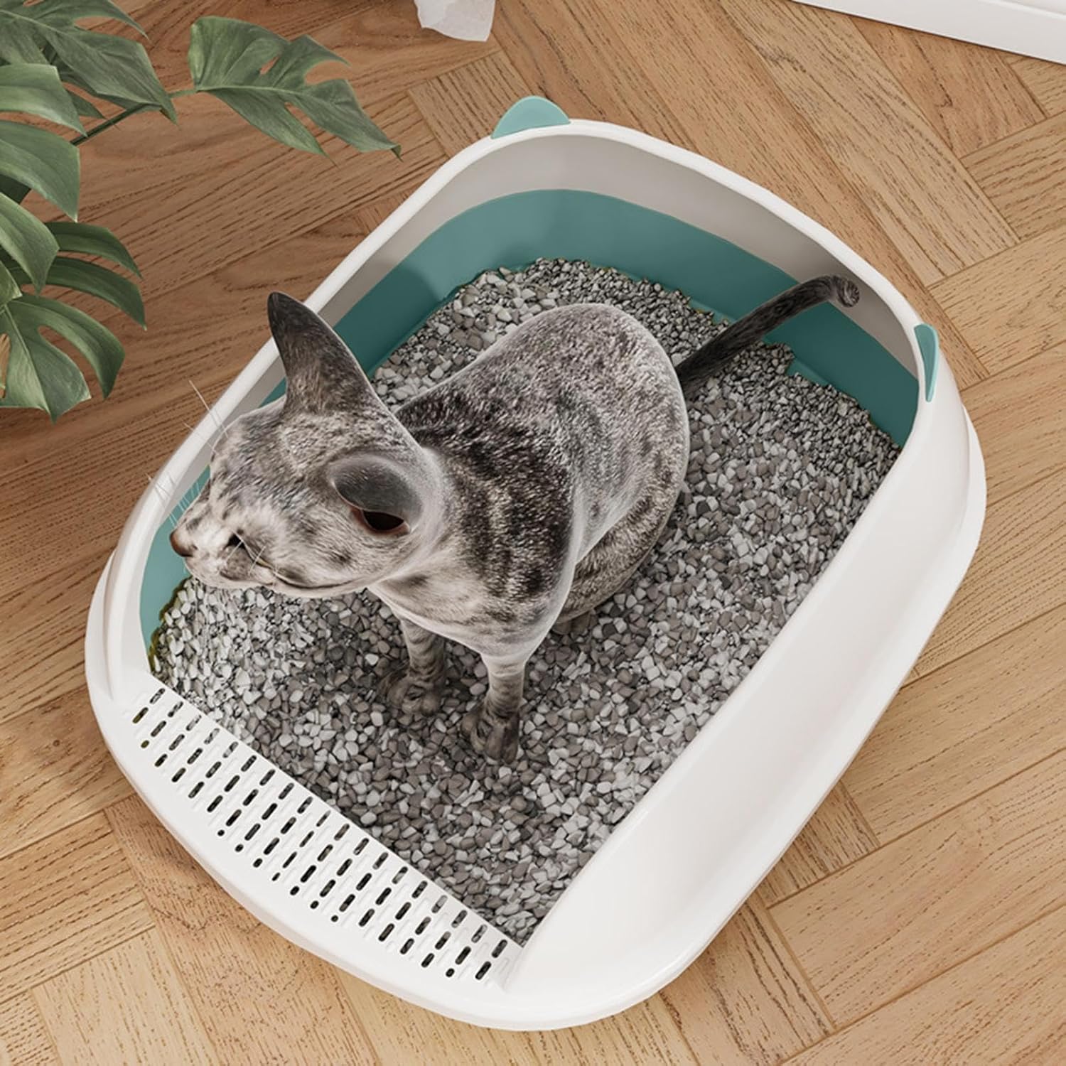 Bandeja de arena de alta cara para gatos y mascotas, caja de arena profunda con pedal de arena para tamizar, inodoro para gatos y gatos, para