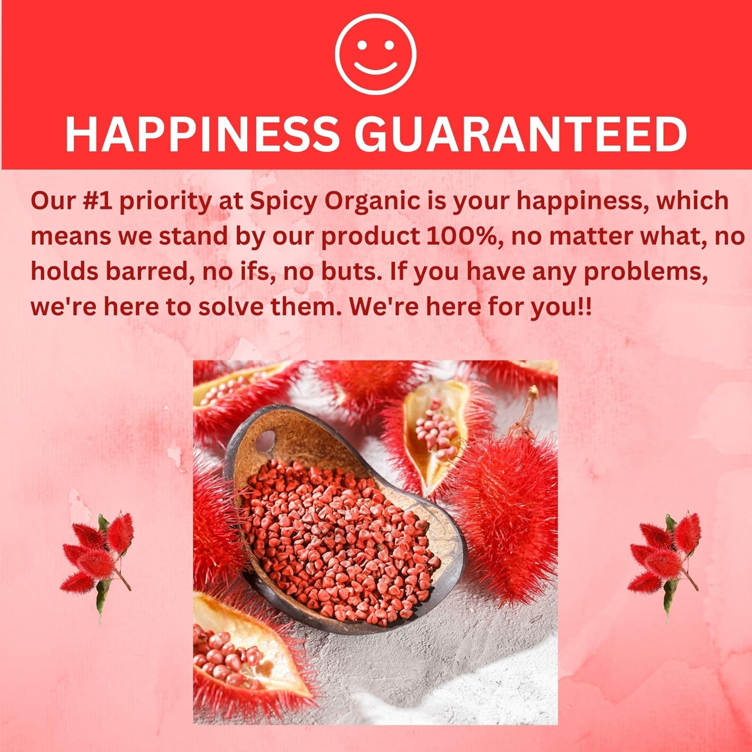 SPICY ORGANIC Annatto Seeds enteras de 4 onzas  Certificado orgánico por USDA  Semillas de achiote totalmente naturales, especias y condimentos para