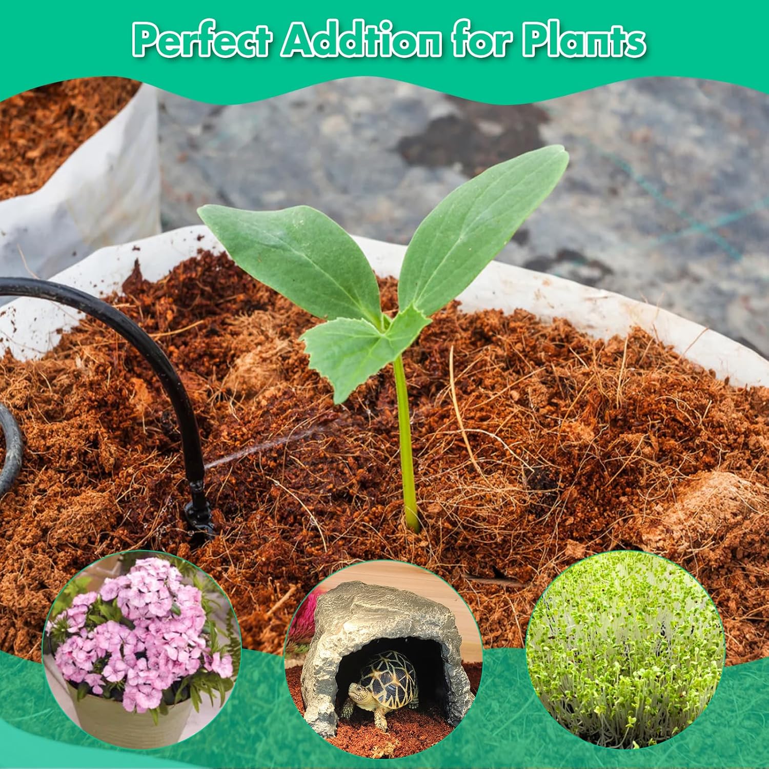 4 piezas de ladrillo de coco comprimido, ladrillo de turba de coco comprimido natural, sustrato de fibra de coco con bajo EC y equilibrio de pH para