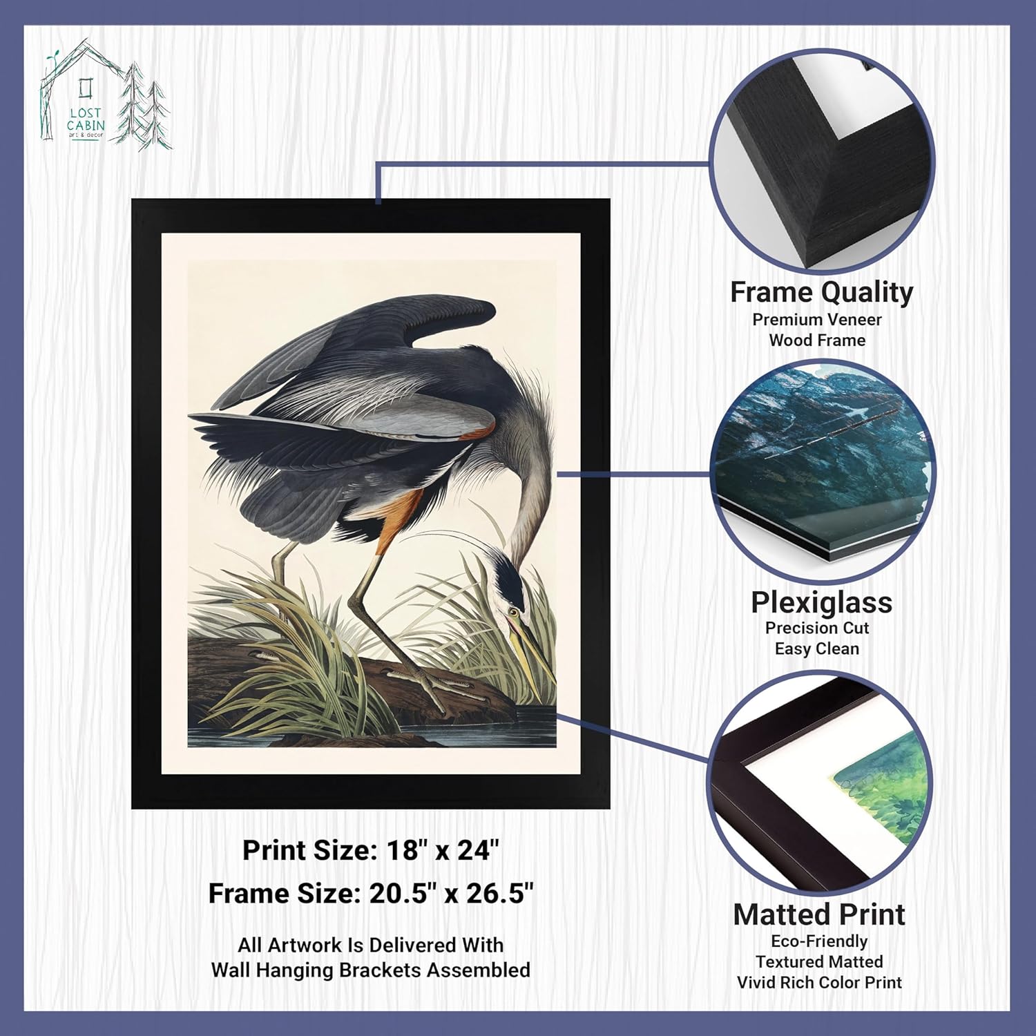 Lost Cabin Great Blue Heron de James Audubon  Impresión enmarañada en marco plano negro  Reproducción de pinturas de obras de arte finas  Póster