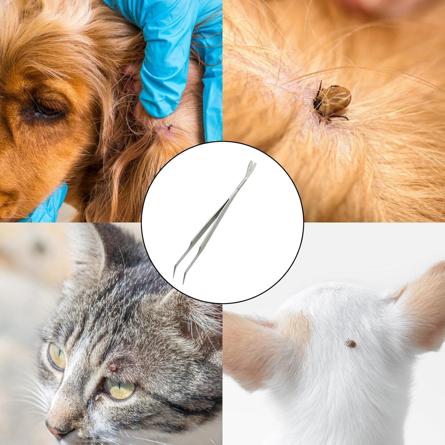Herramienta de eliminación de garrapatas 2 en 1 para mascotas, pinzas profesionales de garrapatas de acero inoxidable para perros, gatos y seres