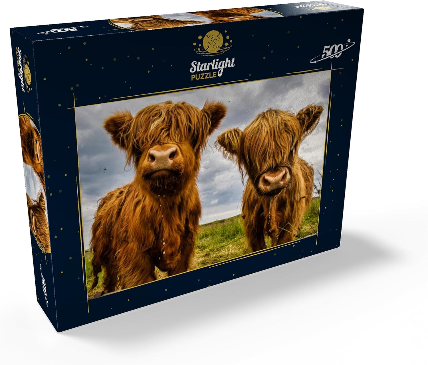 Two Highland Cows – Rompecabezas prémium de 500 piezas para adultos