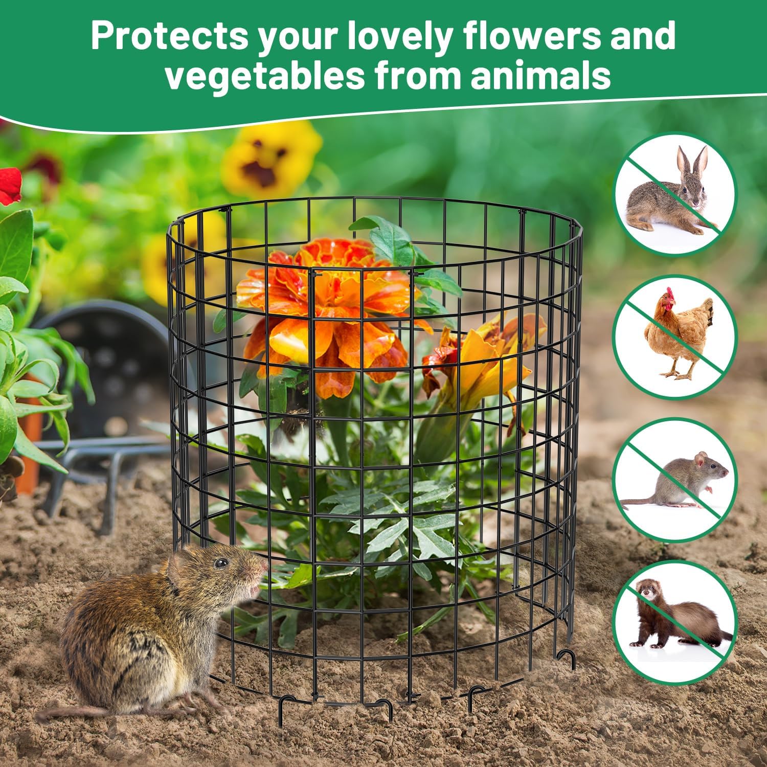 Keten Paquete de 5 protectores de plantas de animales, 15 piezas de malla metálica para mantener a los animales fuera, jaulas de plantas de 13.7