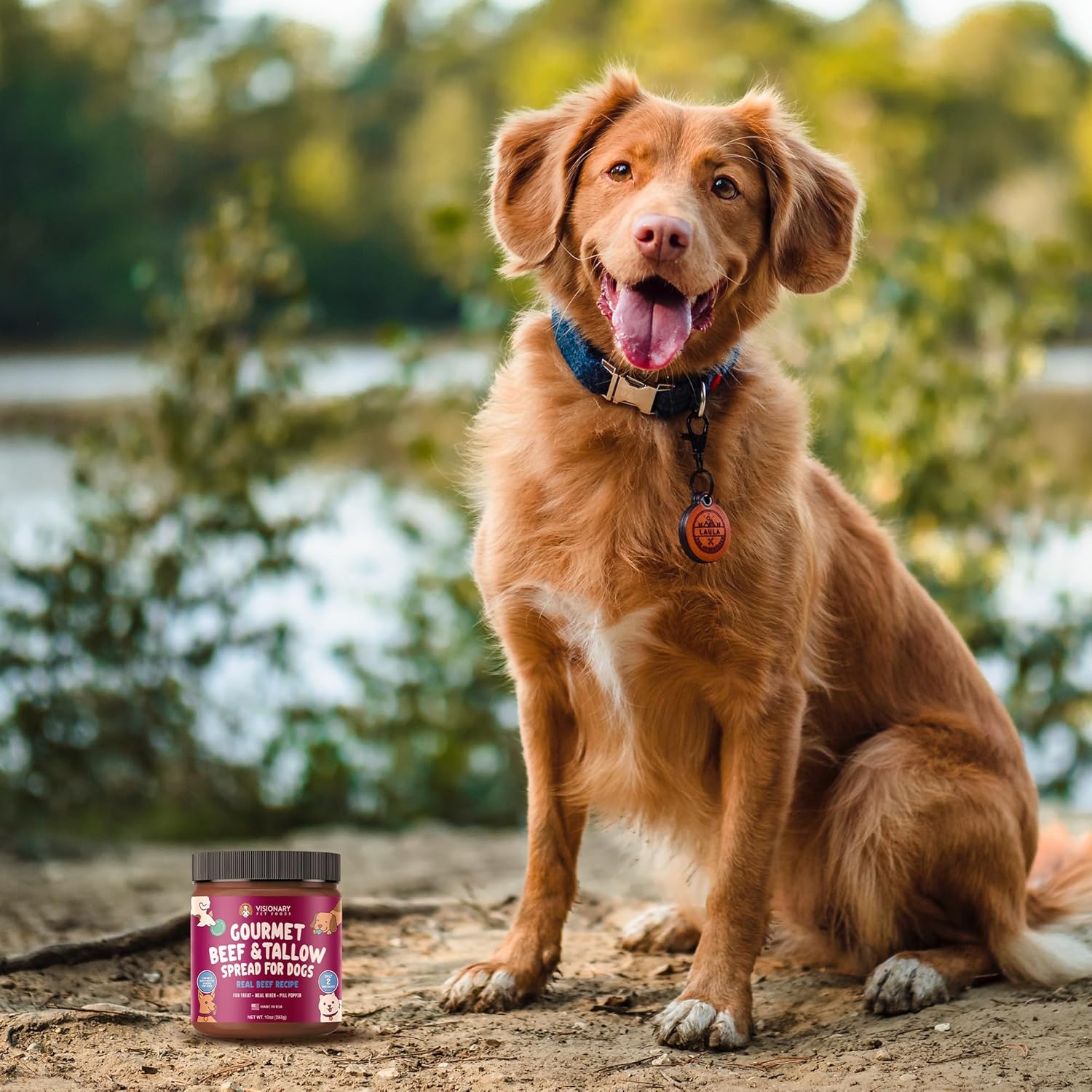 Visionary Pet Foods – Untable de carne de res para perros  Elección más saludable para la mantequilla de maní  Fácil de usar como tapete para lamer