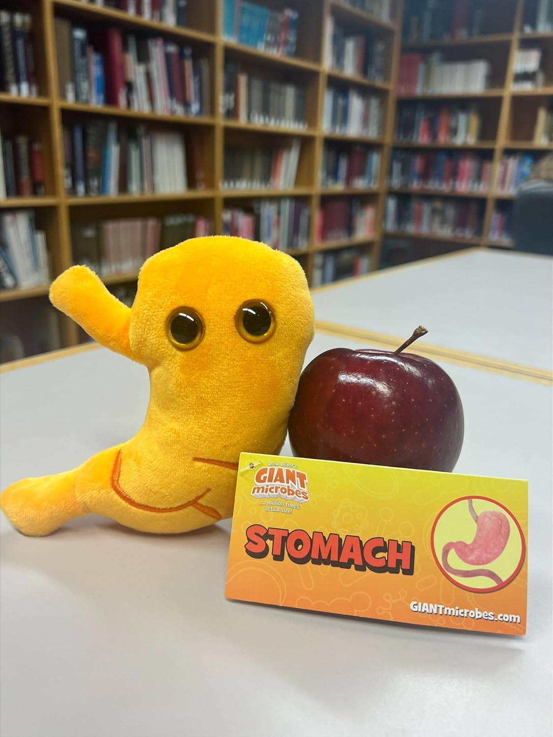 GIANTmicrobes – Peluche estomacal  Juguete anatómico de órgano, regalo de recuperación de cirugía bariátrica, regalos de bypass gástrico, manga