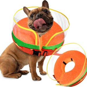Bistup Conos inflables suaves para perros de tamaño mediano, collar de dona, alternativa después de la cirugía, cómodo y cómodo, para dejar de Bistup Conos inflables suaves para perros de tamaño mediano, collar de dona, alternativa después de la cirugía, cómodo y cómodo, para dejar de