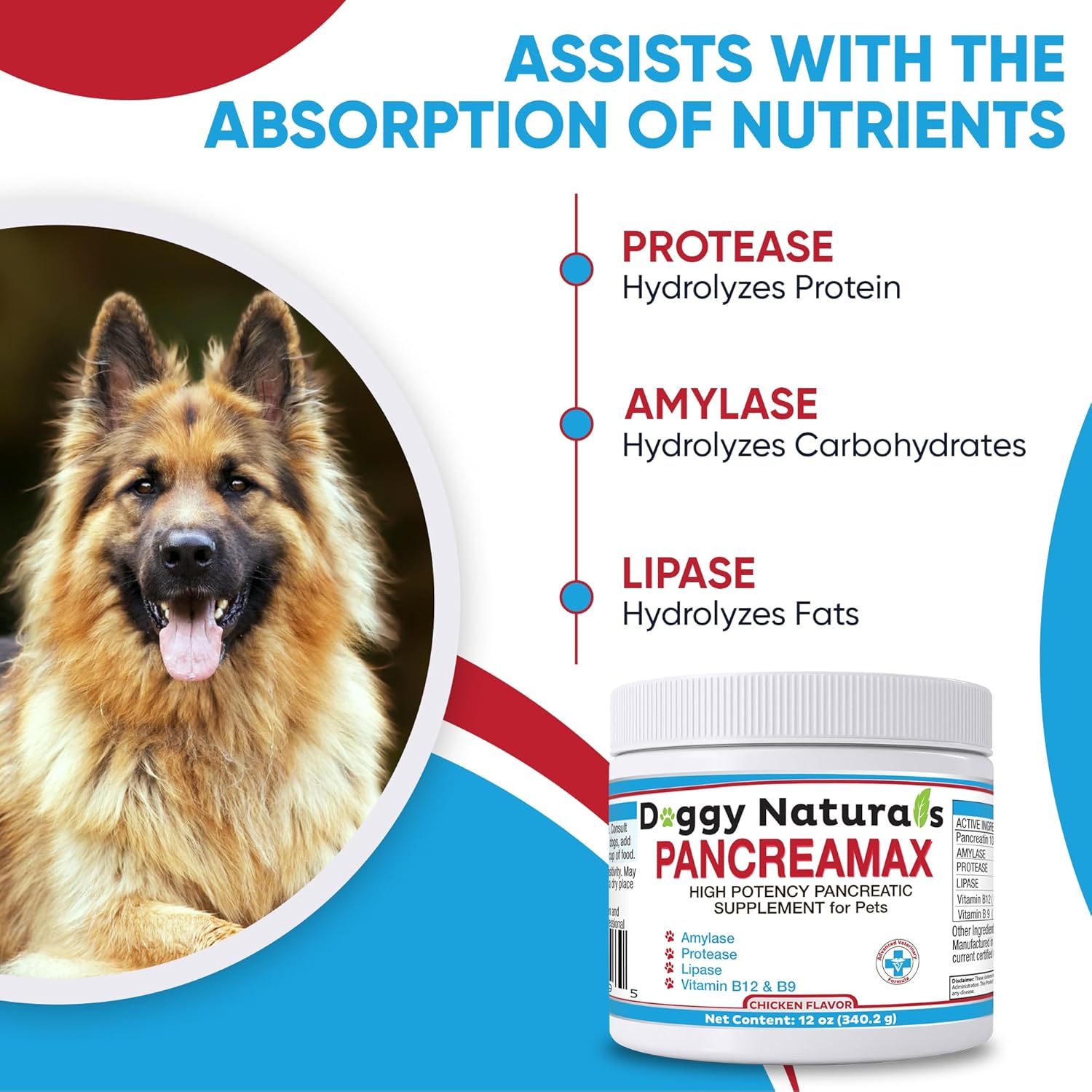 PancreaMax – 10 suplementos de enzimas digestivas pancreáticas para gatos y perros (12 onzas) en polvo (fabricado en Estados Unidos). 10 pancreatina