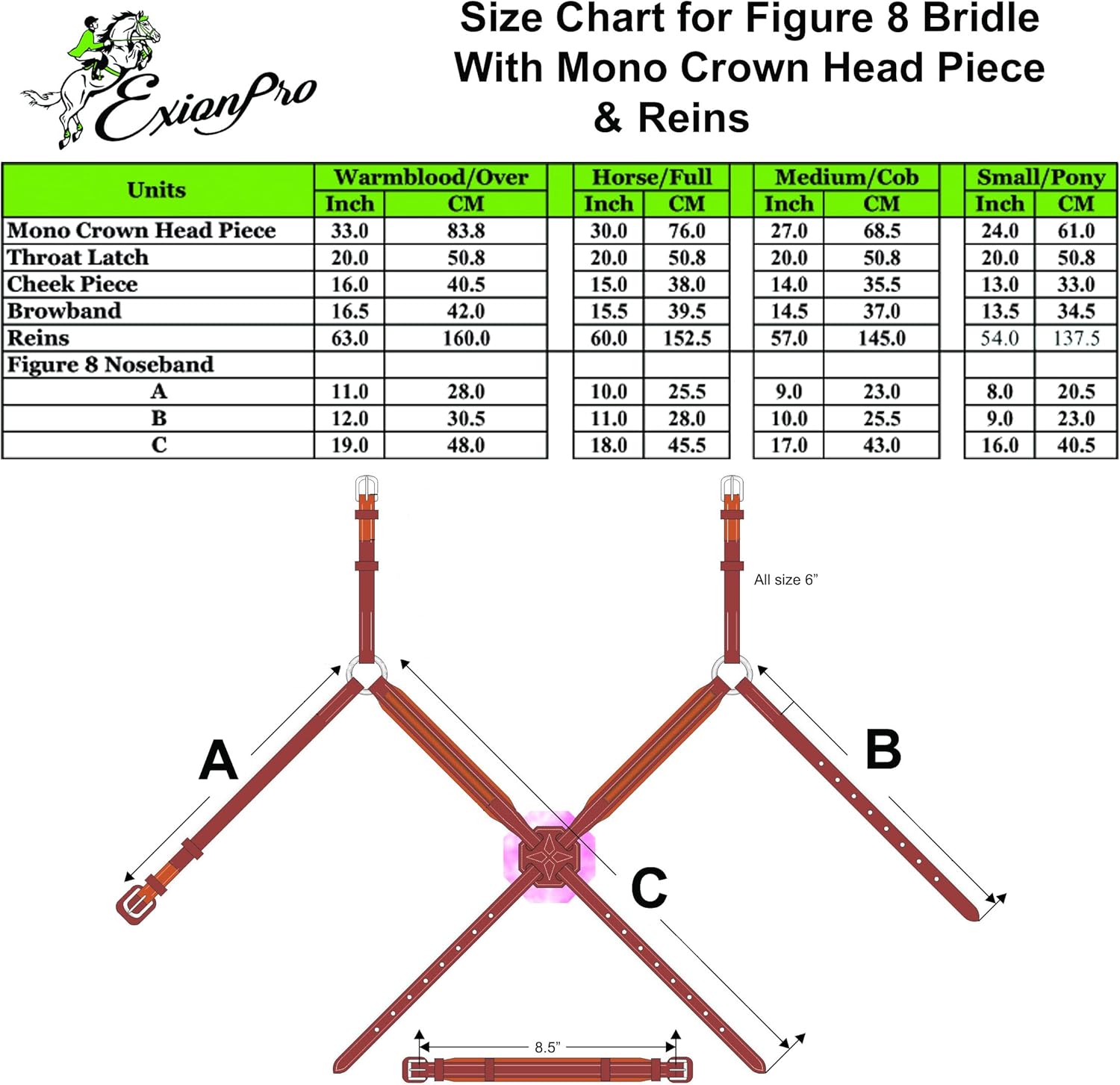 Exion Jumping Horse Bridle – Figura 8 cosida de diseñador con varillas de goma y hebillas SS