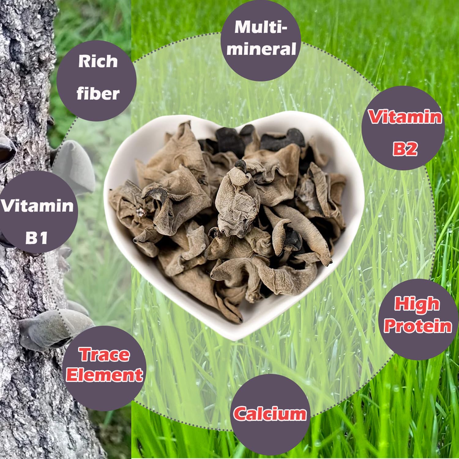 VIGOROUS MOUNTAINS Hongo negro comestible orgánico seco hongo madera oído hongos Auricularia Auricula-judae para cocinar (4OZ)