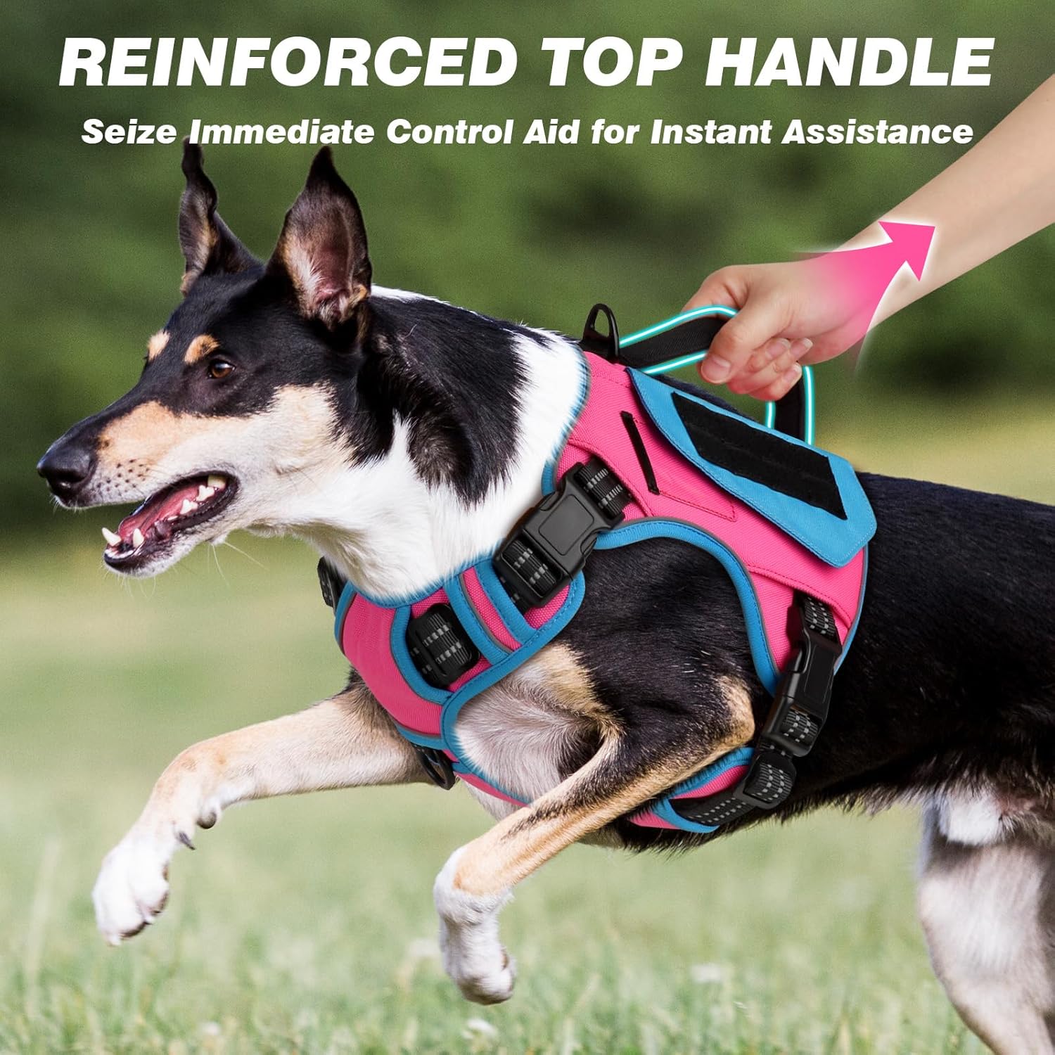 WINGOIN Arnés táctico para perros pequeños, arnés antitirones con bolsa de excrementos, chaleco reflectante para perro, arnés resistente para perros