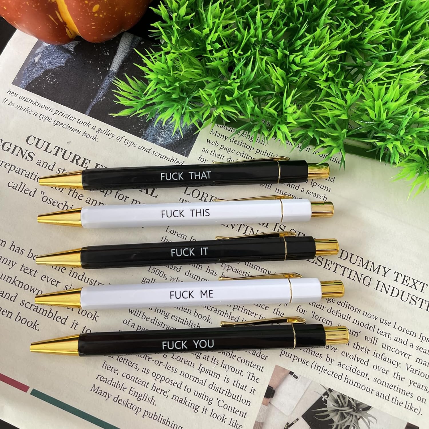 Juego de 5 bolígrafos divertidos, Swear Word Daily Pen Set, bolígrafos de tinta negra de 0.039 pulgadas, bolígrafo de servicio al cliente, juego de