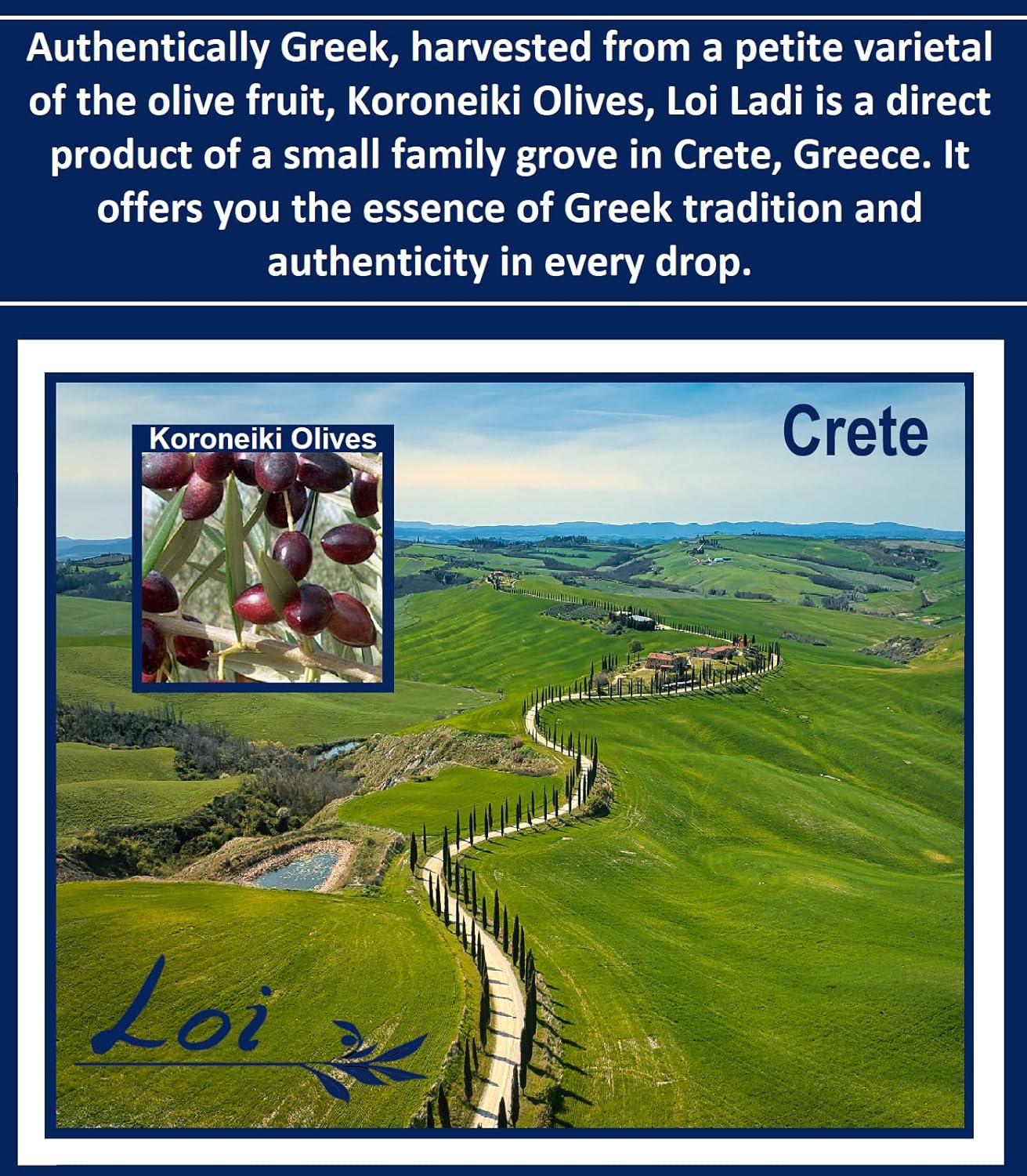 Loi Ladi – Aceite de oliva virgen extra de Creta, Grecia por la chef Maria Loi, auténtico y sin filtrar, 33.8 onzas líquidas