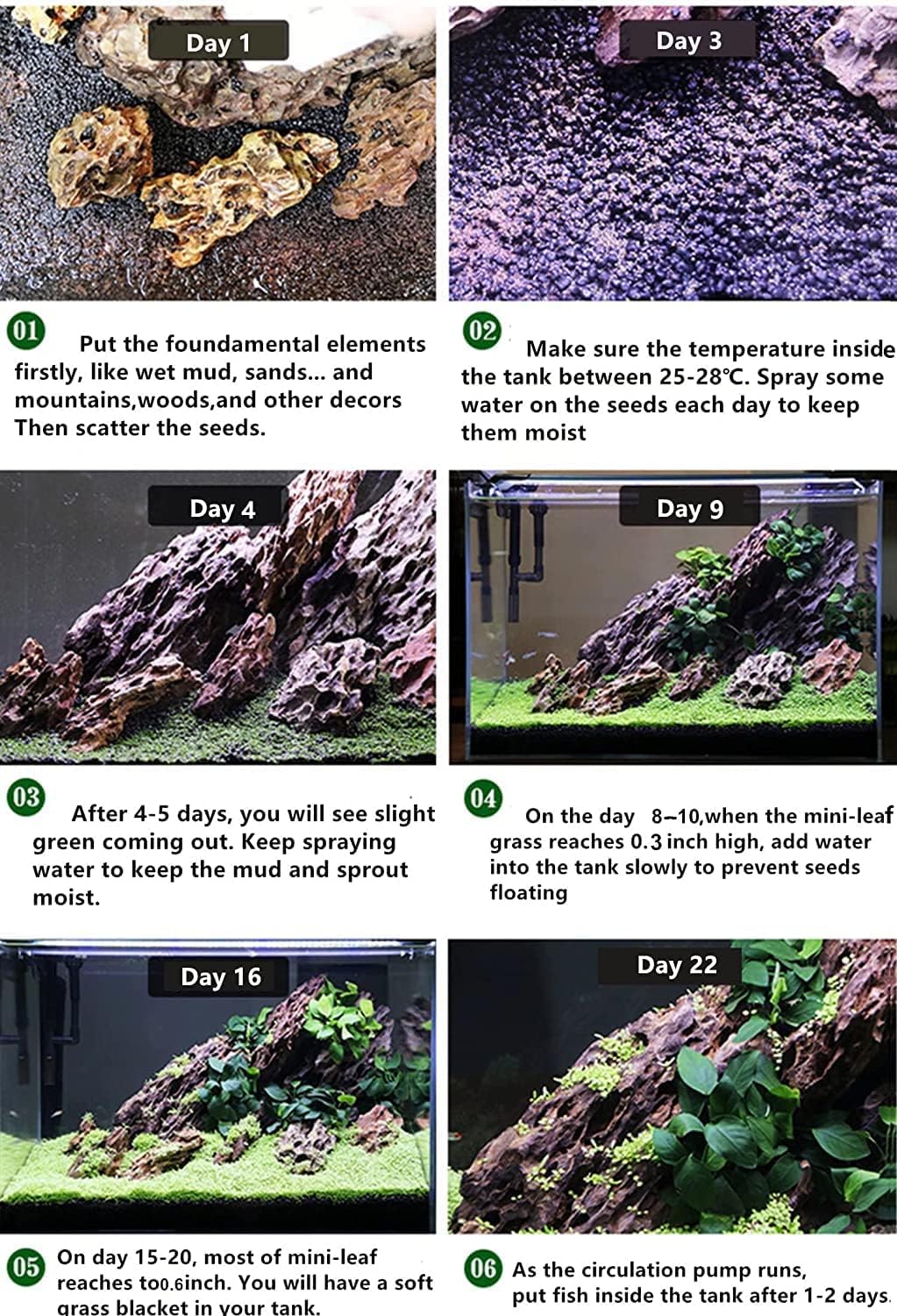 1 paquete de hierba de acuario de hojas pequeñas, hierba de acuario, hierba de agua, planta de acuario, hierba de acuario de fácil crecimiento,