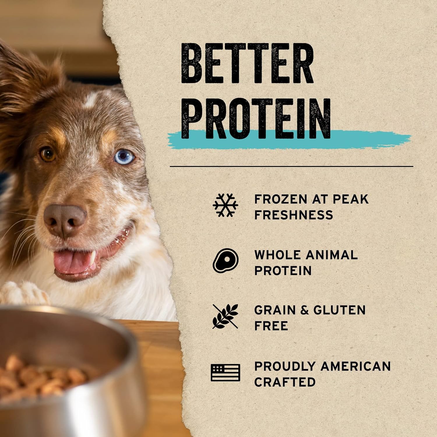 Vital Essentials Mezcla de proteínas crudas liofilizadas para perros, mini puntas de salmón para perros, 18 onzas