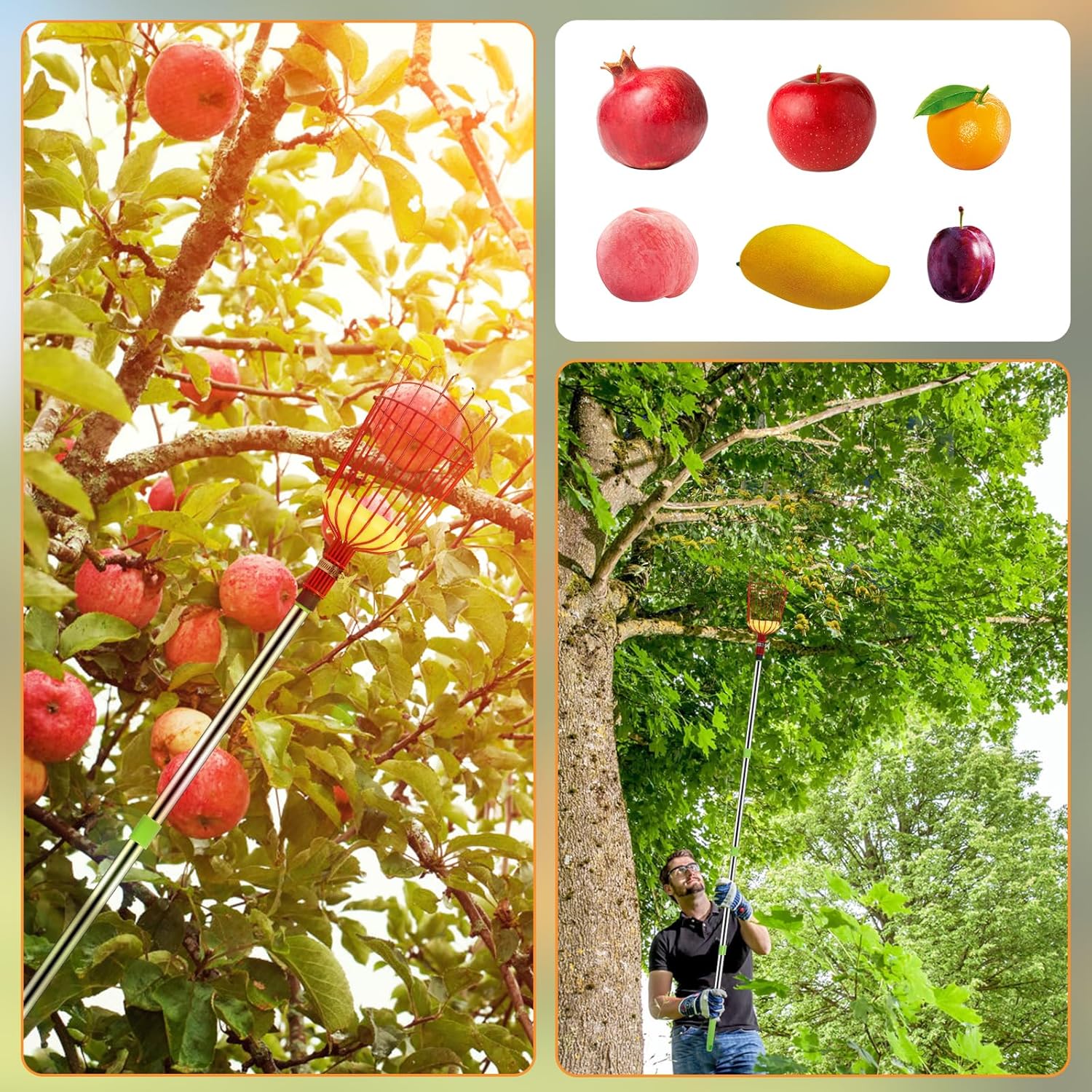 Herramienta de recolección de frutas con bolsa de almacenamiento, herramienta de recogida de naranjas de acero inoxidable, poste ligero de
