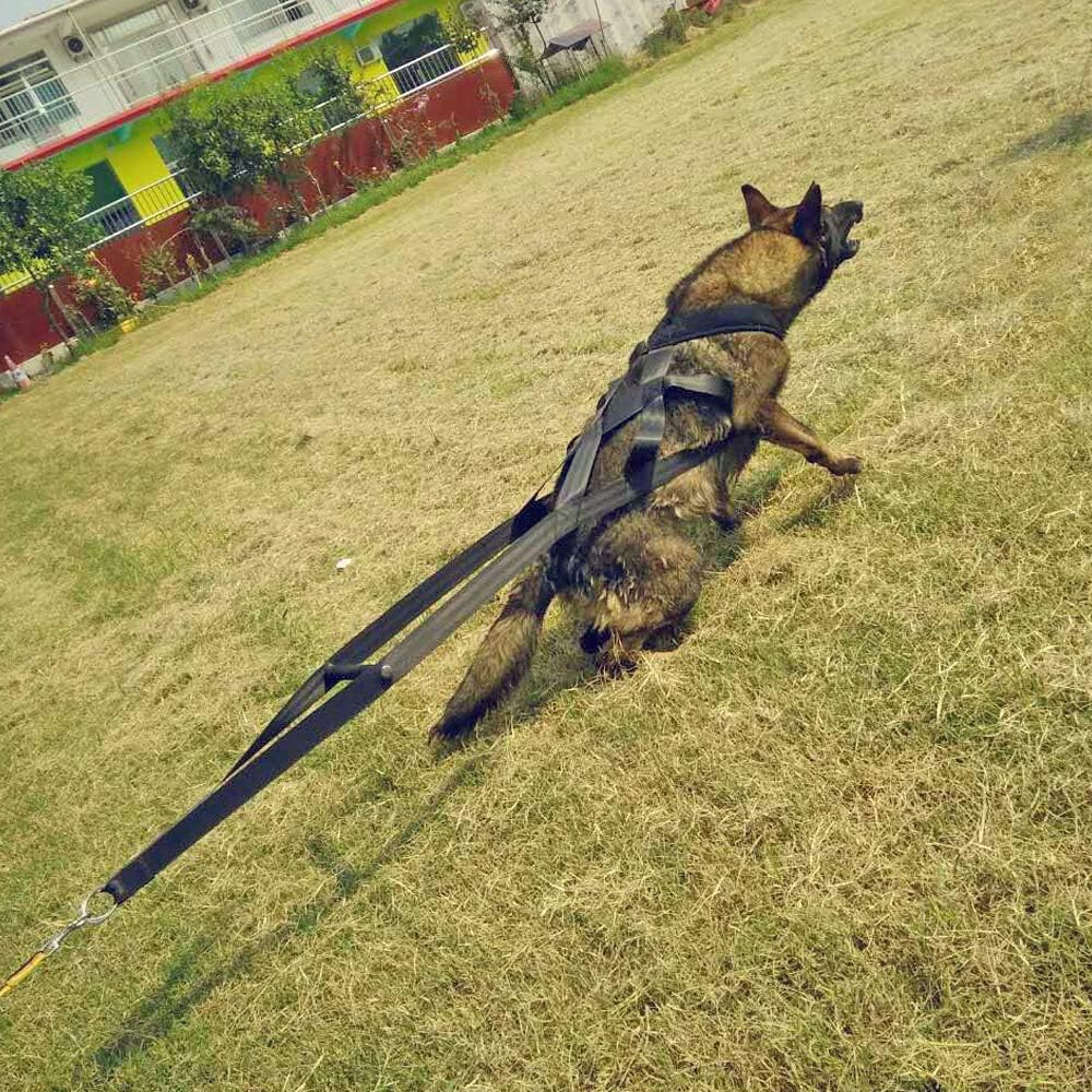 PET ARTIST Arneses de entrenamiento de trineo de peso para perros grandes de trabajo, comportamientos, arneses de trineo para tirar de pesas,