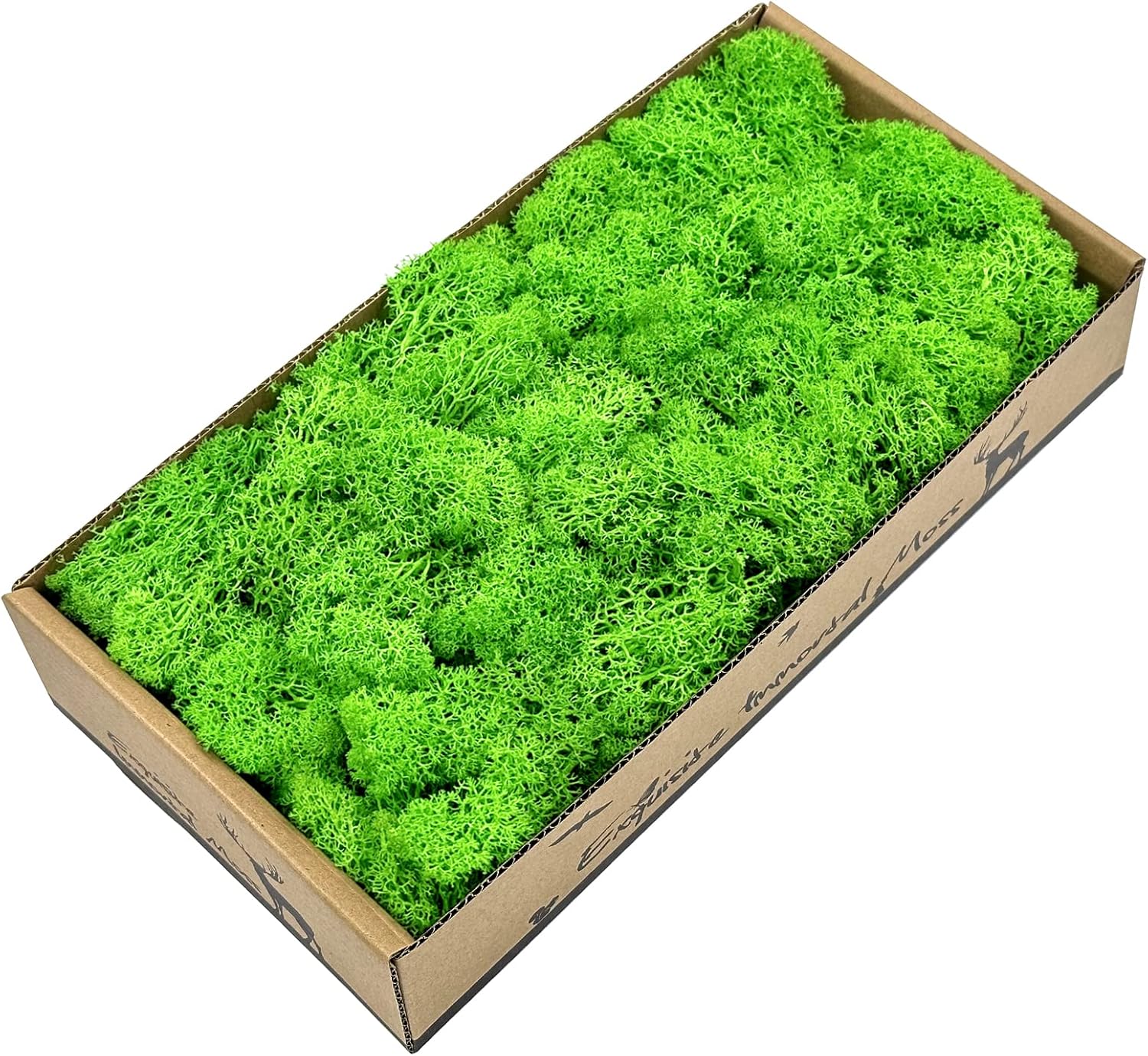 Pextian Musgo verde preservado para manualidades, musgo de reno de 8 onzas para plantas en maceta, musgo artificial decorativo para bodas,