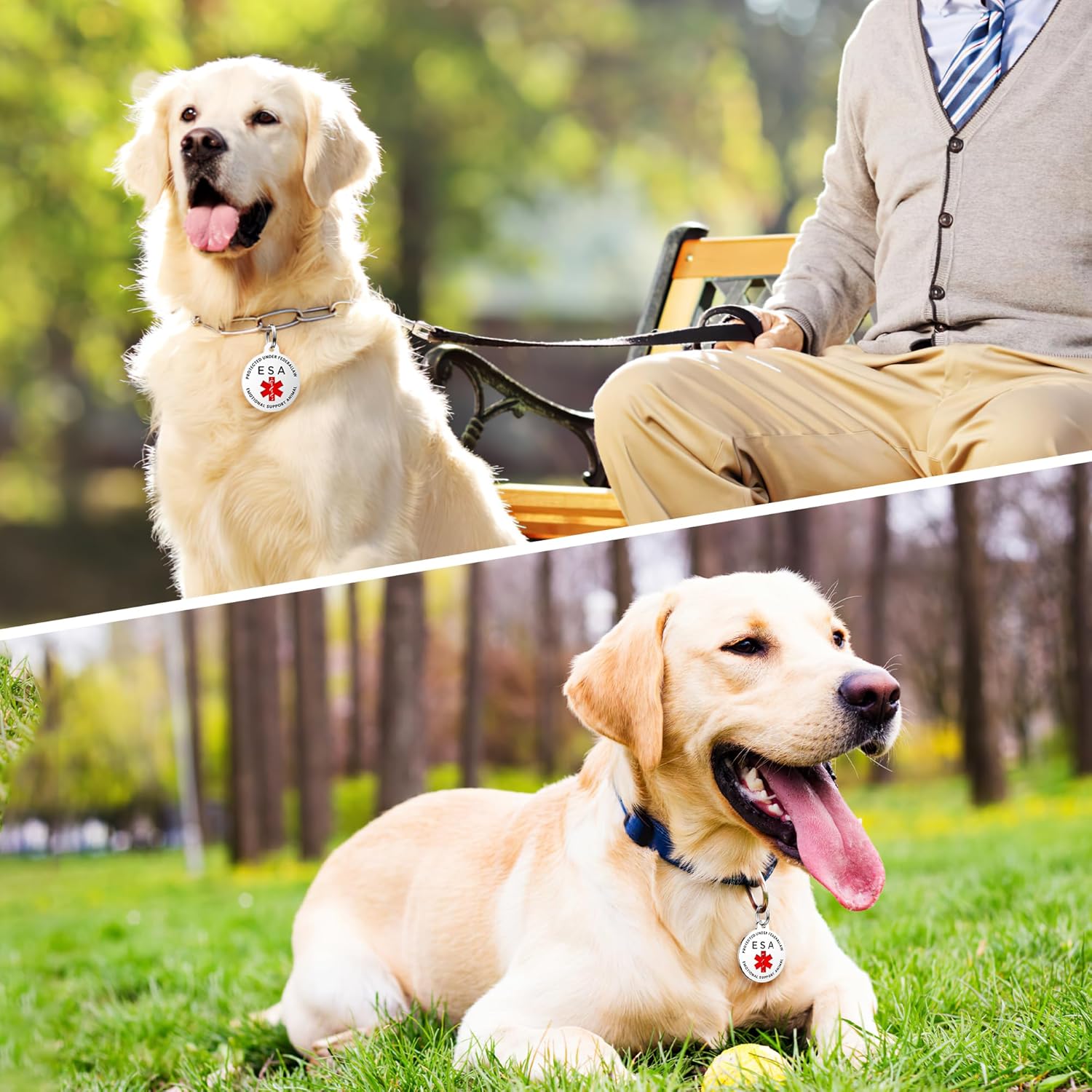 Placa para perro de servicio, etiquetas de perro GISUERY grabadas para mascotas con 4 líneas personalizadas, se fija fácilmente al arnés del chaleco