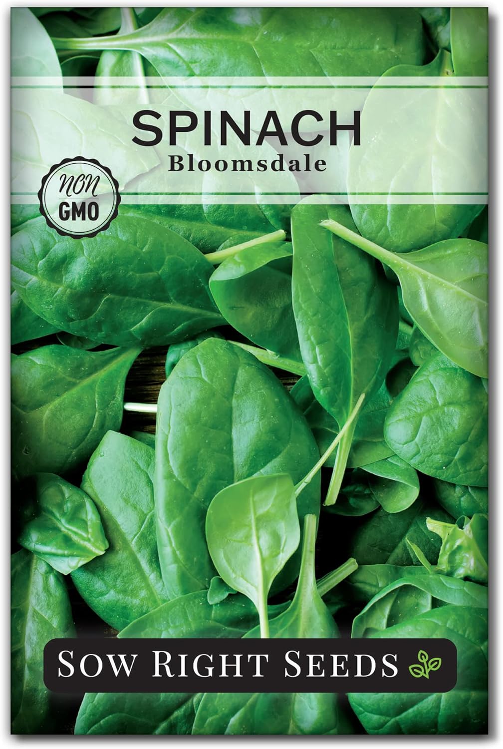 Sow Right Seeds – Semillas de espinaca Bloomsdale para plantar – Paquete de reliquia sin OMG con instrucciones para plantar y cultivar un huerto en