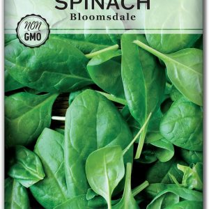 Sow Right Seeds – Semillas de espinaca Bloomsdale para plantar – Paquete de reliquia sin OMG con instrucciones para plantar y cultivar un huerto en Sow Right Seeds – Semillas de espinaca Bloomsdale para plantar – Paquete de reliquia sin OMG con instrucciones para plantar y cultivar un huerto en