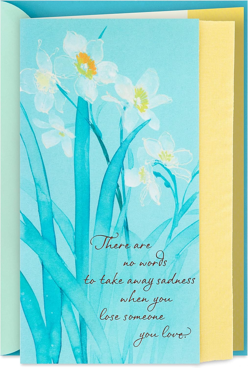 Hallmark Tarjeta de condolencias de ambos o de todos (Holding You In Our Hearts) y tarjeta de condolencias (flores blancas, fuerza y comodidad)