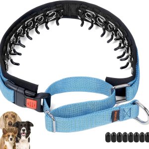 Mayerzon Collar de perro sin tirones, collar de martingala para perros pequeños, medianos y grandes, collar antitirones con hebilla y nailon Mayerzon Collar de perro sin tirones, collar de martingala para perros pequeños, medianos y grandes, collar antitirones con hebilla y nailon
