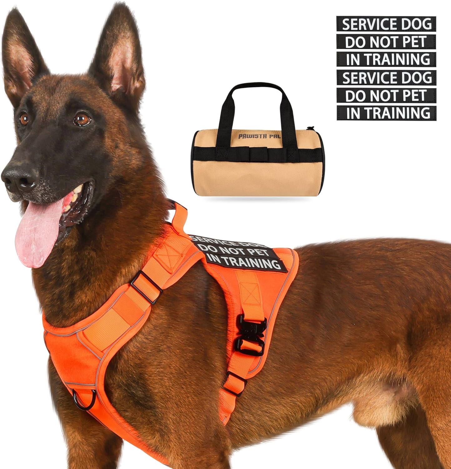 Arnés táctico para perro, 2 correas ligeras con hebilla de metal resistente para perros medianos y extragrandes con 6 parches para perros, arnés