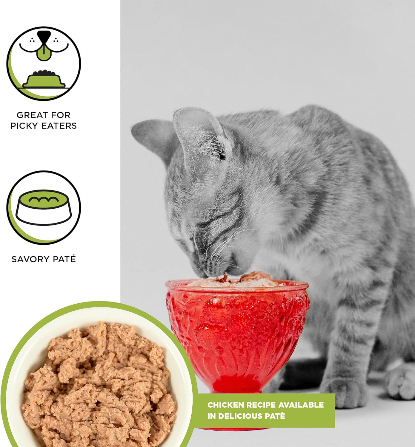 BIXBI Rawbble Receta de paté de pollo para latas de gatitos, sin granos, rica en proteínas, comida húmeda para gatitos (latas de 2.75 onzas, caja de