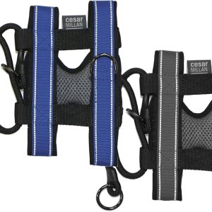 Cesar Millan Pack Leader Collar – Collar de entrenamiento del perro susurrador (pequeño, gris) Cesar Millan Pack Leader Collar – Collar de entrenamiento del perro susurrador (pequeño, gris)