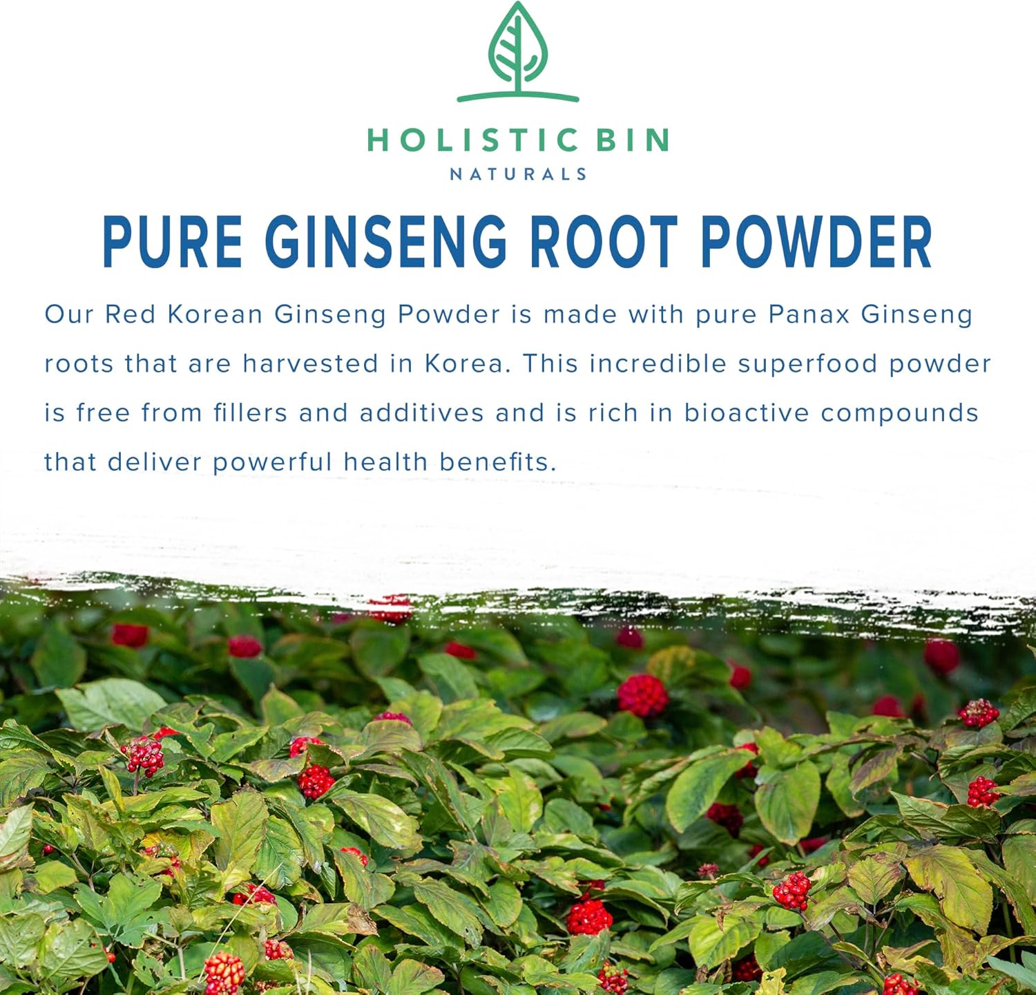 Suplemento de ginseng rojo coreano puro en polvo de Panax Ginseng  Vegano, sin gluten, sin OMG, sin rellenos, rico en ginsenósidos (1.76 oz)