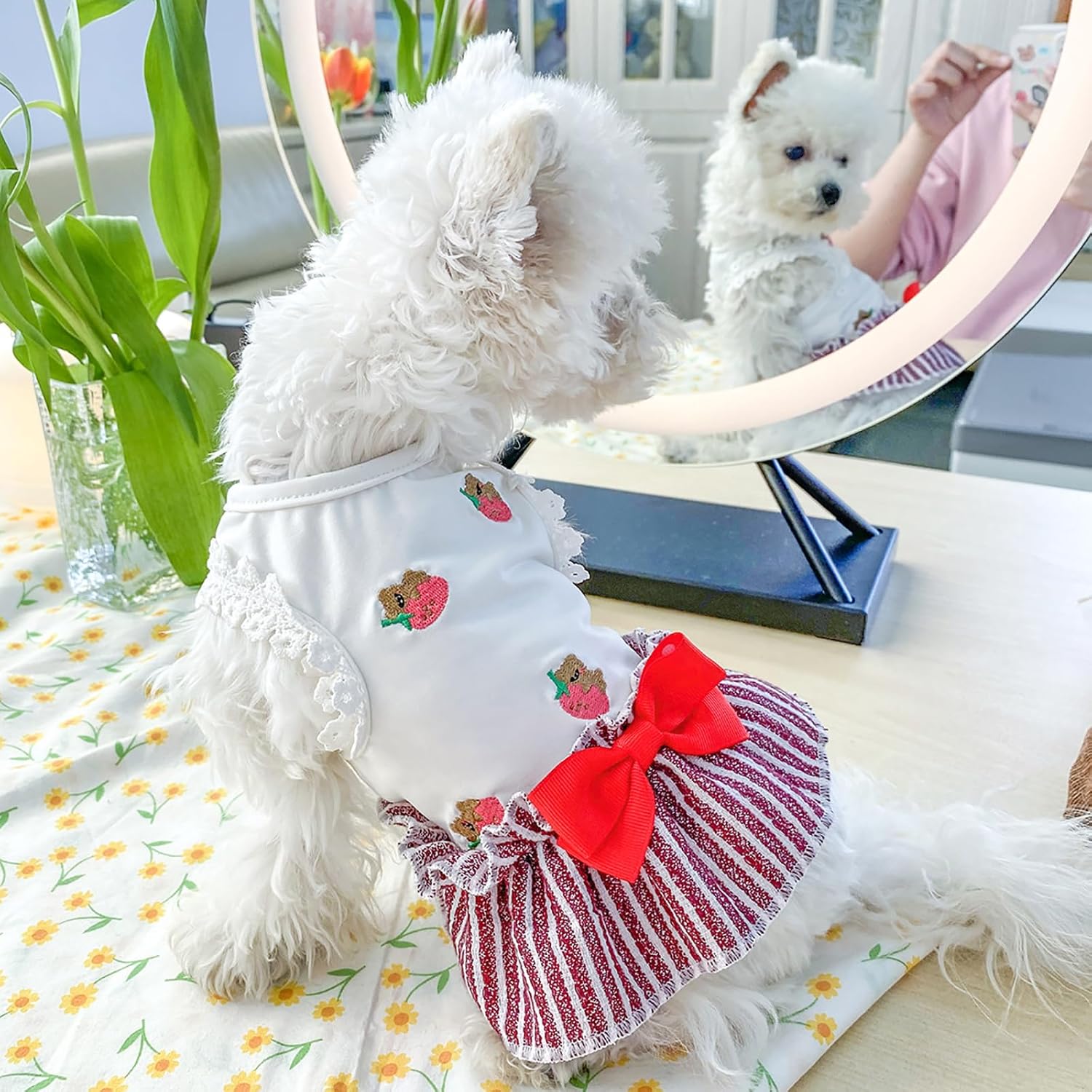 Vestidos de verano para cachorros, elegante, vestido de encaje con lazo, ligero, transpirable, de algodón, ropa de gato para peluche, pomerania,