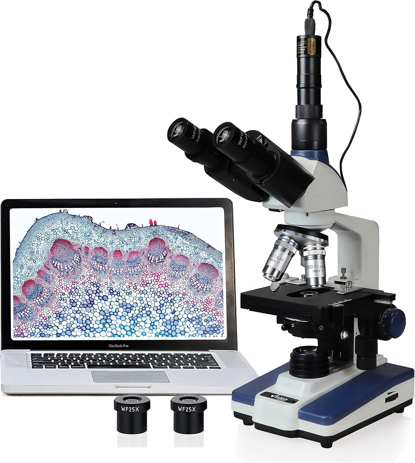 Vision Scientific Microscopio compuesto trinocular Siedentopf VS-60T-RC-DT1.3, aumento 40X-2500X, oculares WF 10X y 25X, etapa mecánica de doble