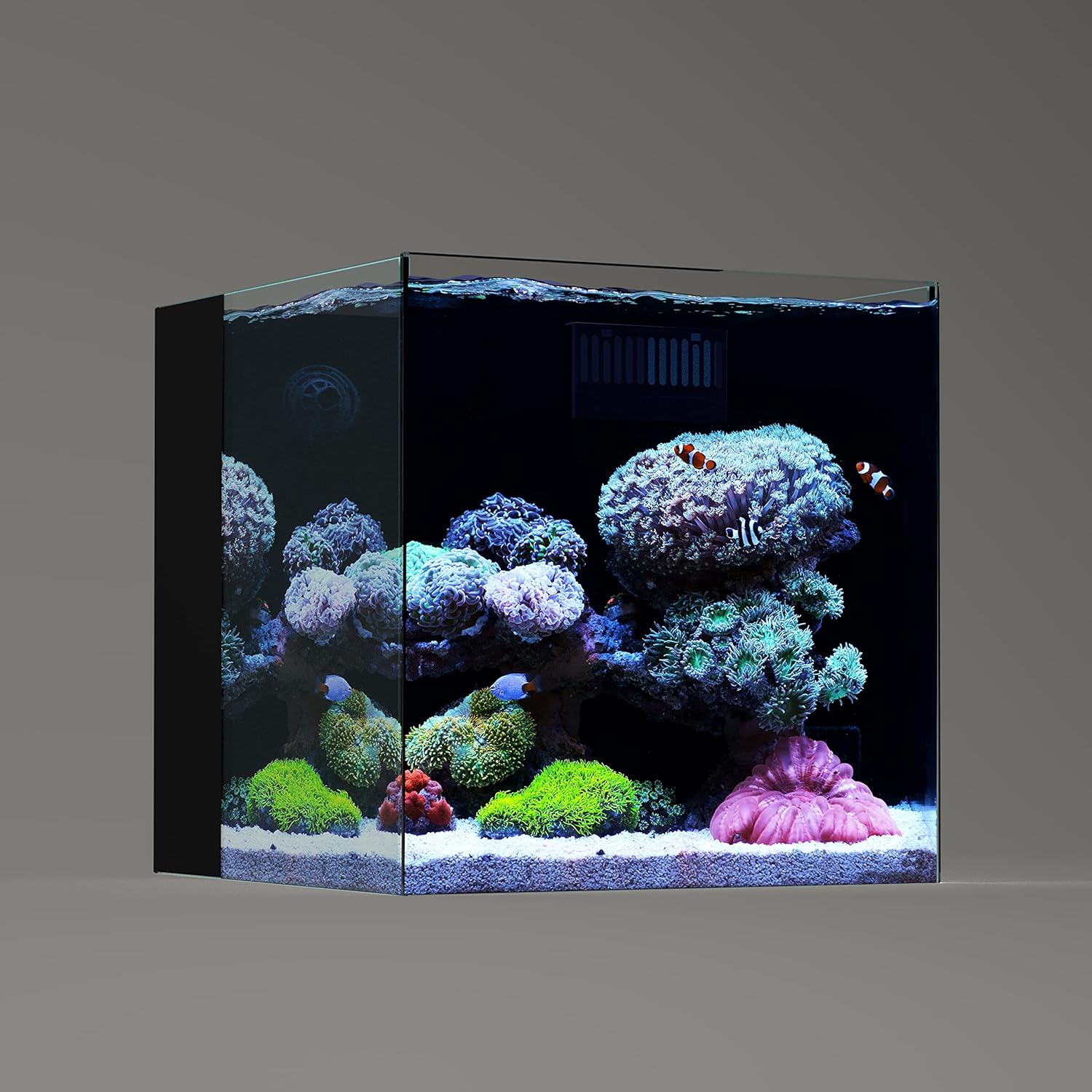LANDN 35C Tanque de acuario ultra transparente de 10 galones de hierro bajo en hierro con cámara de filtración trasera (bomba de retorno incluida).