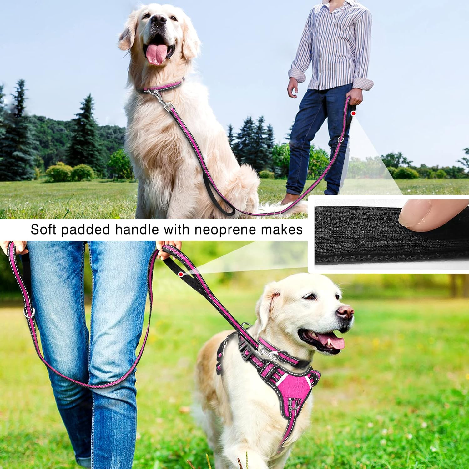 WINSEE Juego de arnés para mascotas, collar y correa, arnés reflectante todo en uno para perro, sin tirones, con hebillas ajustables para cachorros,