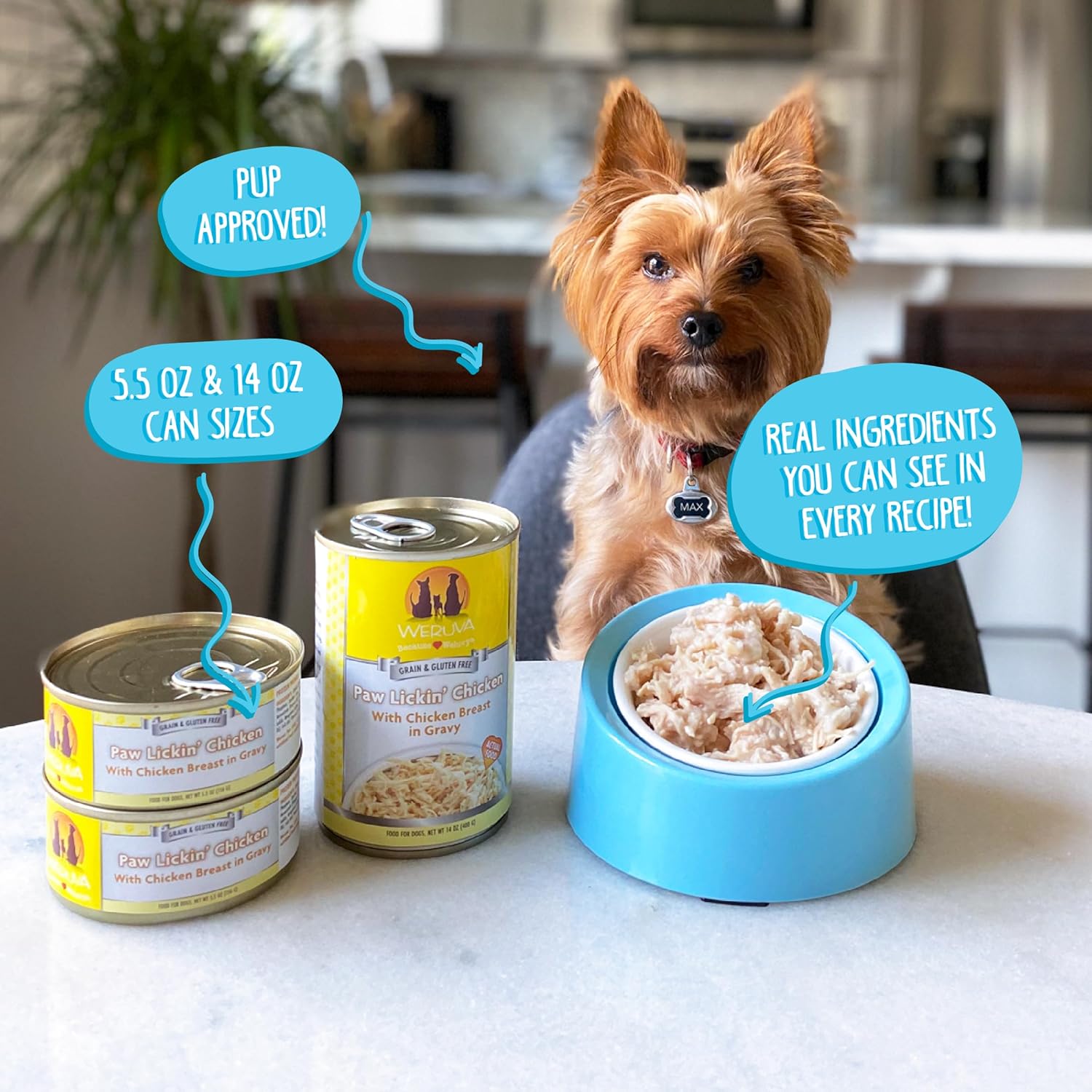 Weruva comida para perros enlatada sin granos