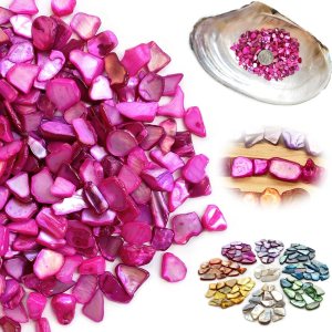 Yew & Tulip Chips de conchas naturales manchadas, fragmentos de conchas rosas irregulares de 64 onzas (4 libras), conchas de madreperla para Yew & Tulip Chips de conchas naturales manchadas, fragmentos de conchas rosas irregulares de 64 onzas (4 libras), conchas de madreperla para