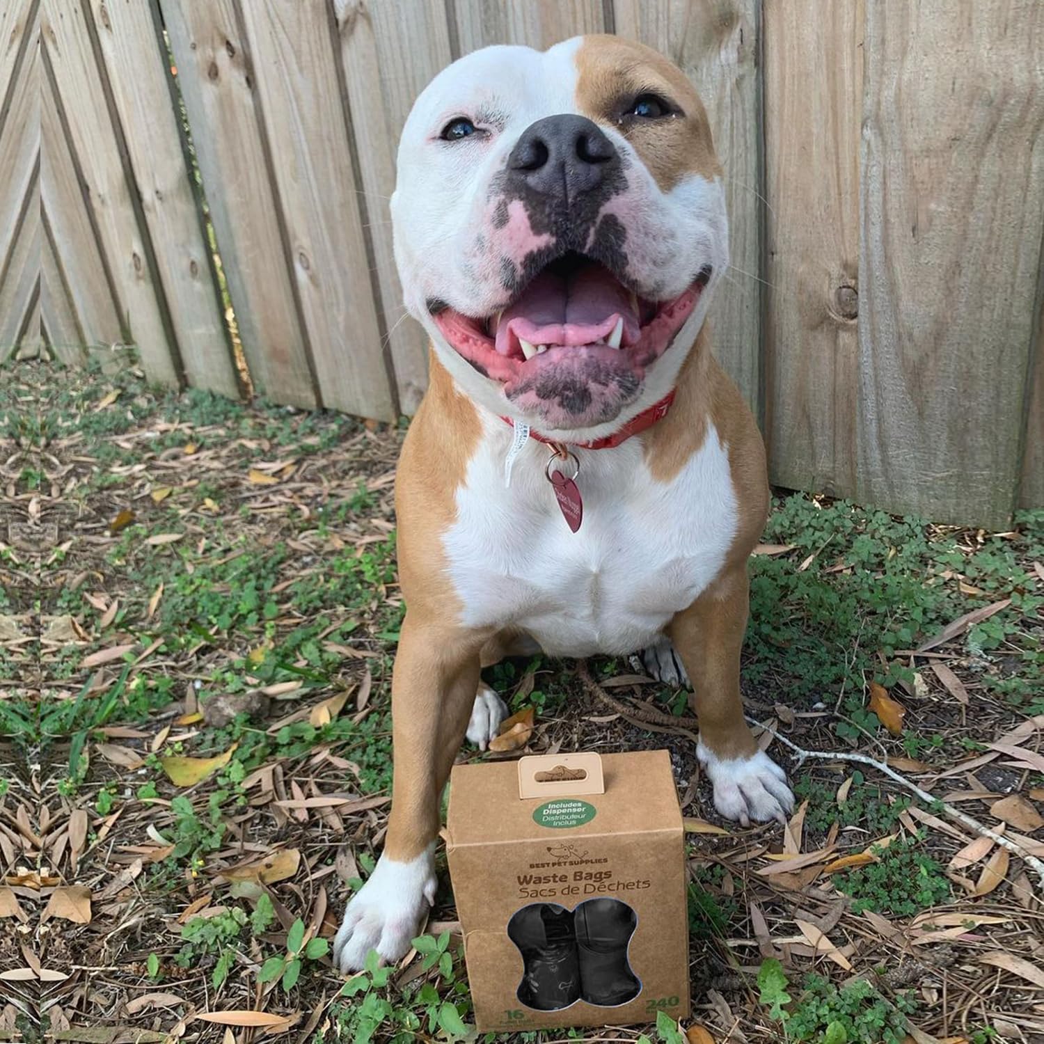 Best Pet Supplies – Bolsas para limpieza de excremento de perro, rollo de repuesto, uso en exteriores, a prueba de fugas y desgarros, plástico