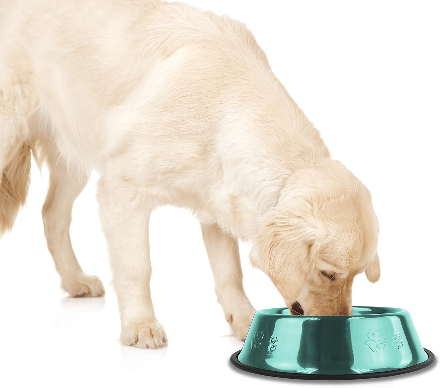 Platinum Pets – tazón de acero inoxidable para gatos y perros que no se vuelca
