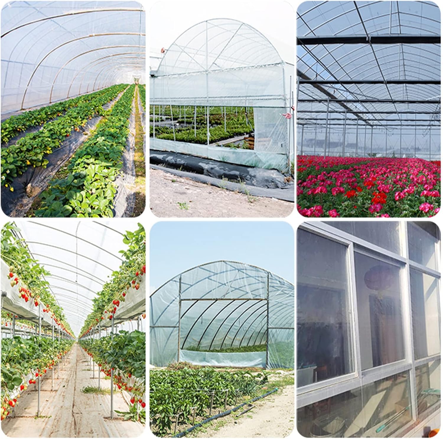 Película de plástico para invernadero, cubierta de planta de suministro de aro para jardinería, agricultura, agricultura, fácil de instalar, láminas