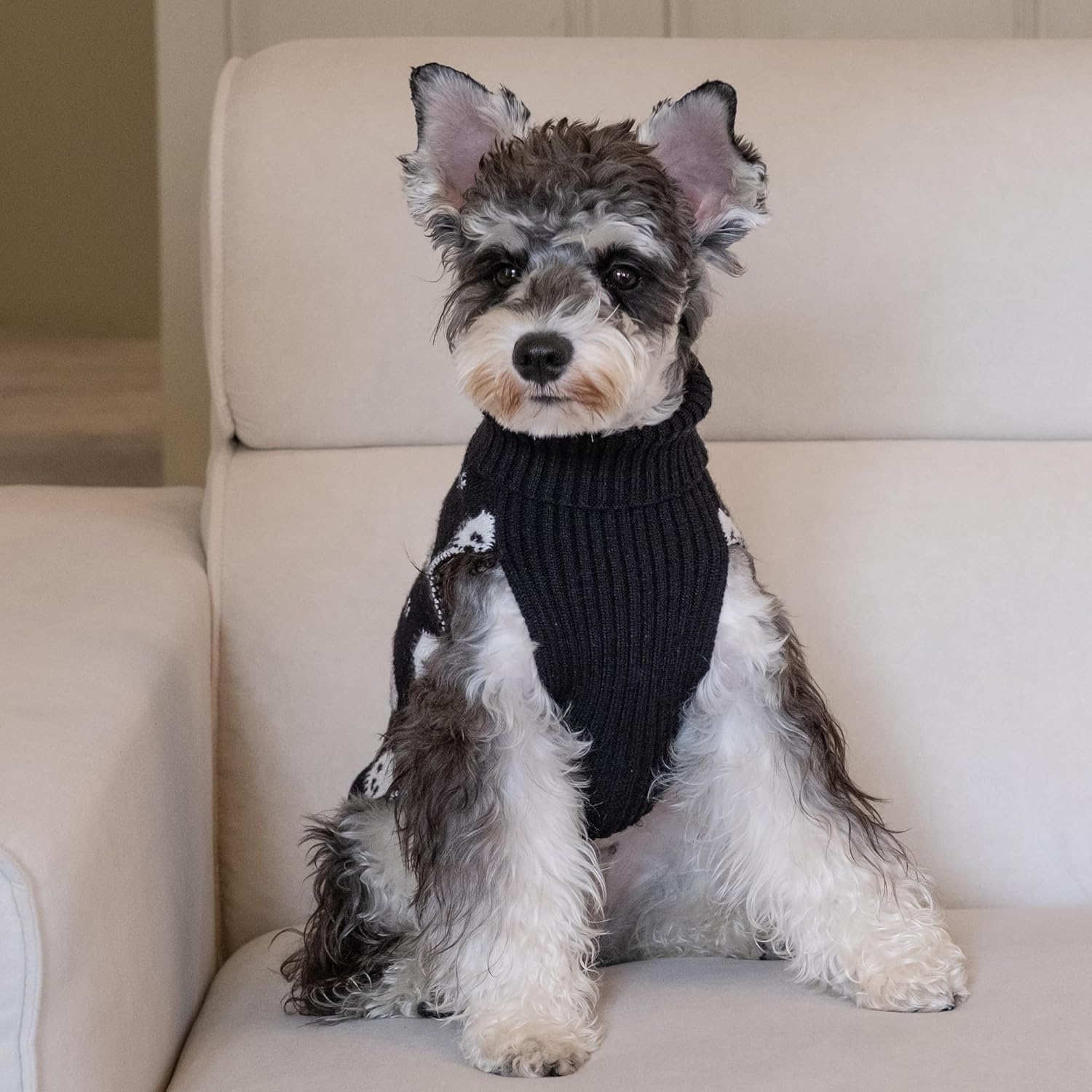 CuteBone Suéter de calavera para perros medianos, ropa de invierno para mascotas, suéter de punto cálido con agujero para arnés