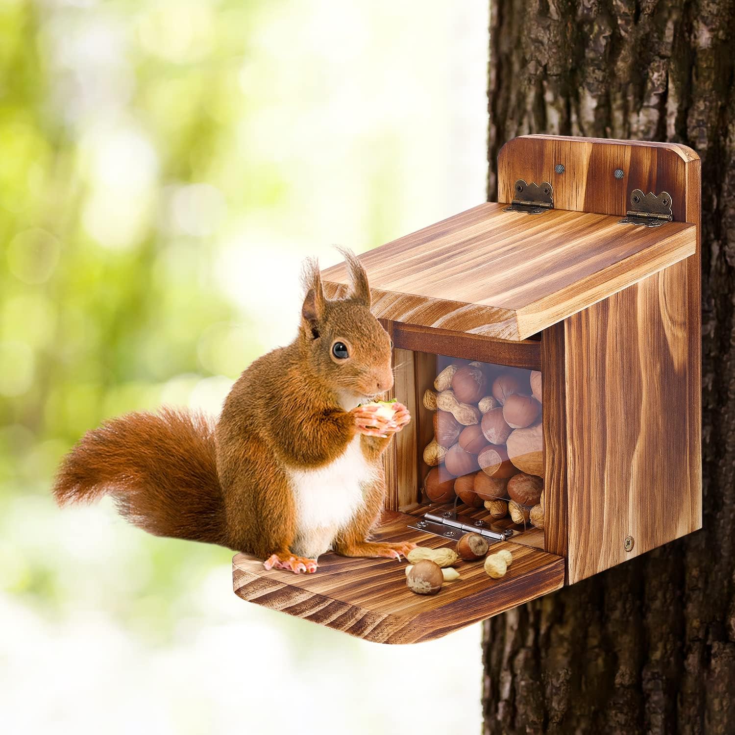 MIXXIDEA Caja de alimentación de ardilla de madera, resistente casa de alimentación de ardillas con grosor de madera de 0.6 in, no requiere montaje,