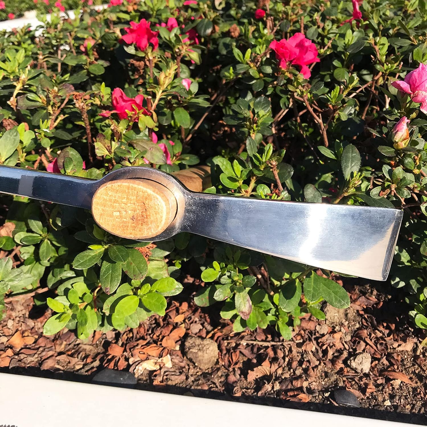 Cultivador de mano de 15.7 in, azada de pico de acero inoxidable resistente y duradero, herramientas de azada de jardinería agrícola con mango de