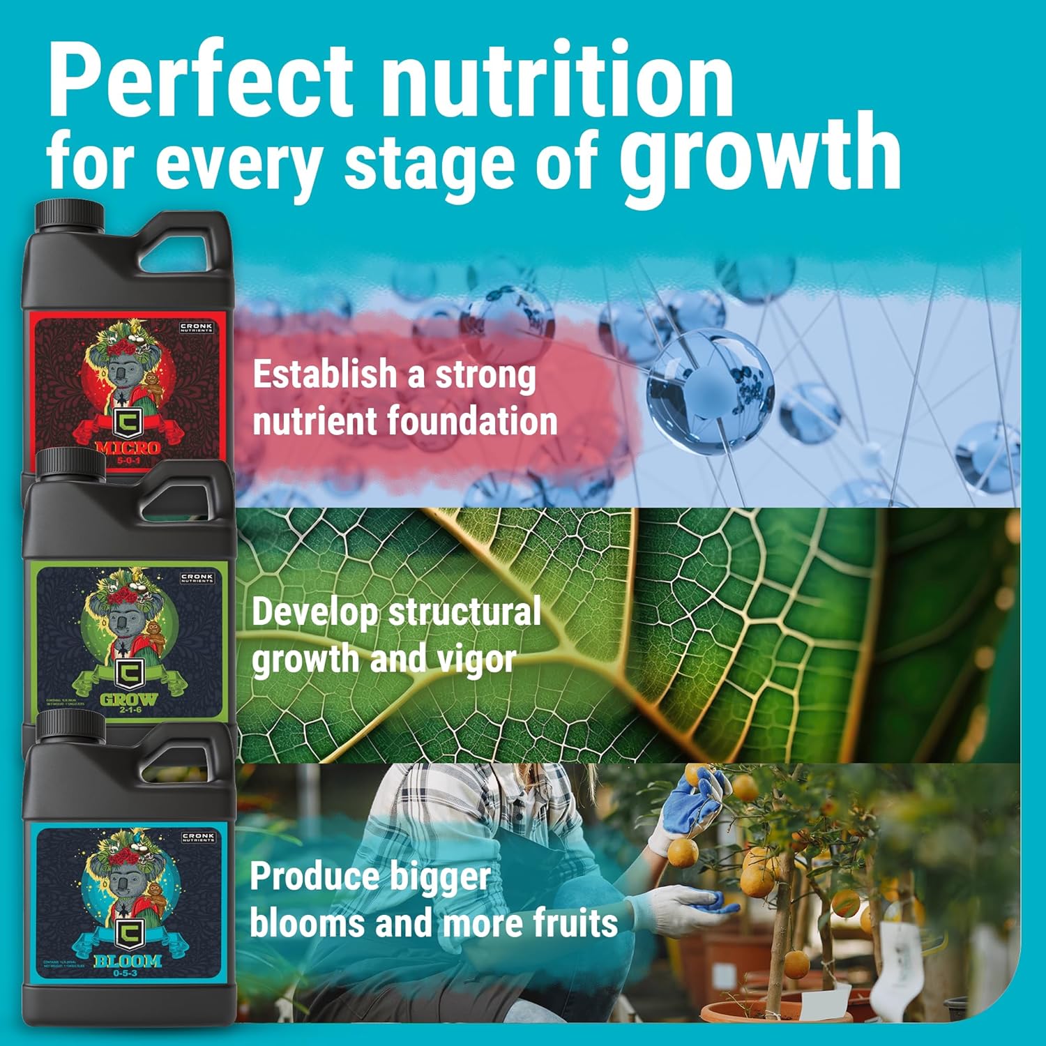 Cronk Grow Nutrientes hidropónicos  Fertilizante vegetal  Macro y Micro nutrientes para plantas de interior  Compatible con suelo y jardín